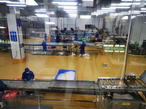 多圖首發！解密水產智能化工廠與文化館，探索未來水產新生態